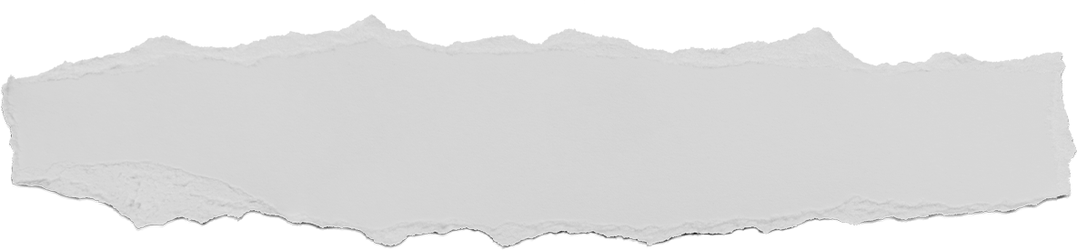 shred of paper