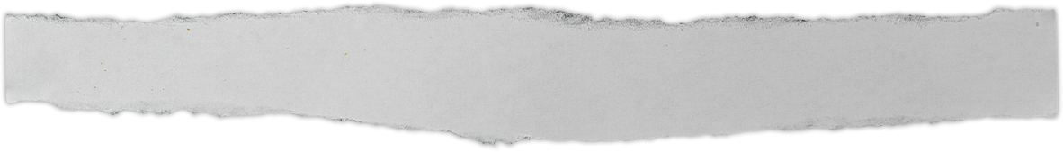 shred of paper